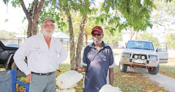 Seed collection a key ingredient to rehabilitation