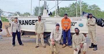 Speartooth shark in the good hands of Cape York community
