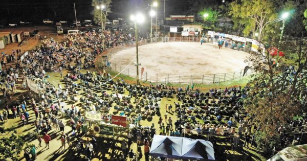 Huge crowds flock to Weipa Bullride