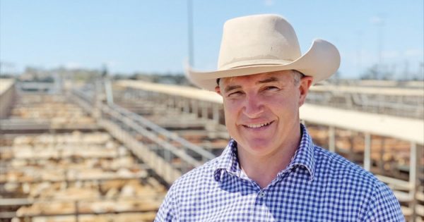 Katter slams state's purchase of Bramwell Station