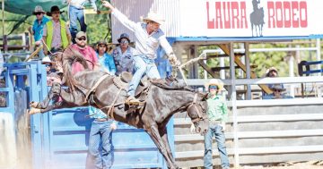 Laura races, rodeo to return in 2022