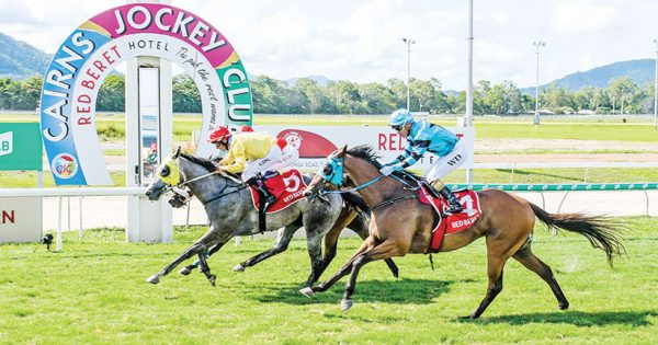 President trains his first winner in four years