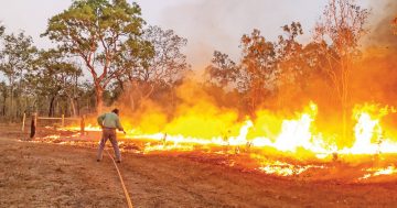Collaboration required to reduce arson attacks in Cape York