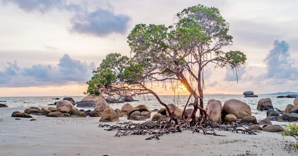 Fact or fiction? What's the wet season really been like?