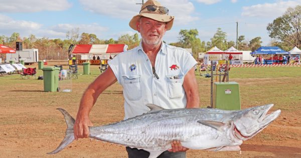 Have your say on the future of mackerel fishing