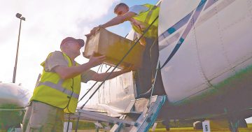Air freight keeps Cape communities fed in wet season