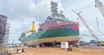 This is the vessel that will fix Sea Swift's wet season woes