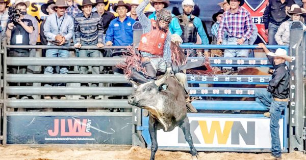 Rodeo royalty hits Weipa for Cape of Origin series