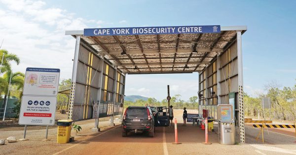 Mayor eyes biosecurity alternatives across Cape