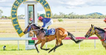 Mareeba Cup winner to chase Cooktown riches