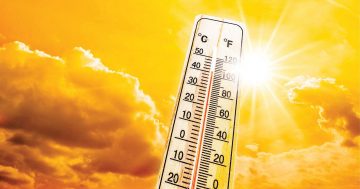 Power outages as record heatwave hits the Cape