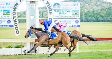 Lord of Light salutes in Cooktown Cup