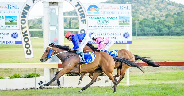 Lord of Light salutes in Cooktown Cup