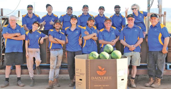 Lakeland grower eyes lucrative Japanese market