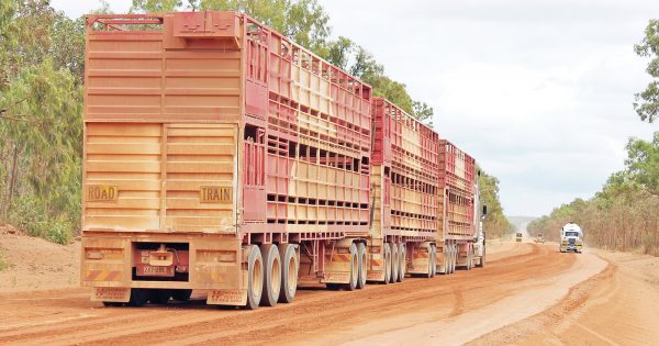 TMR hits panic button as rain arrives in Cape York