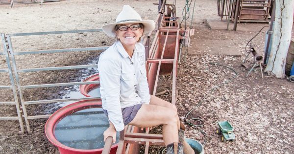 Sally Gray takes the reins of Cape York NRM board