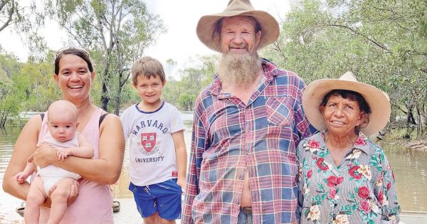 Big wet season not a problem for Cape York station owner