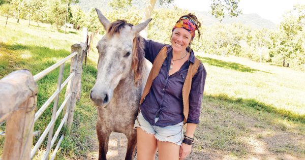 Horse sanctuary opening doors to visitors