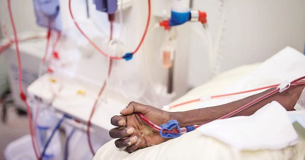 New renal dialysis service coming to Cape York