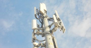 Cape York needs telecommunications back-up: MP