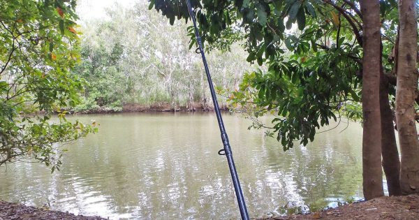 BREAKING: Croc attack in Cape York National Park