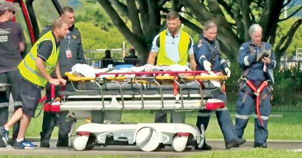 Archer Point croc attack victim was aware of the risks