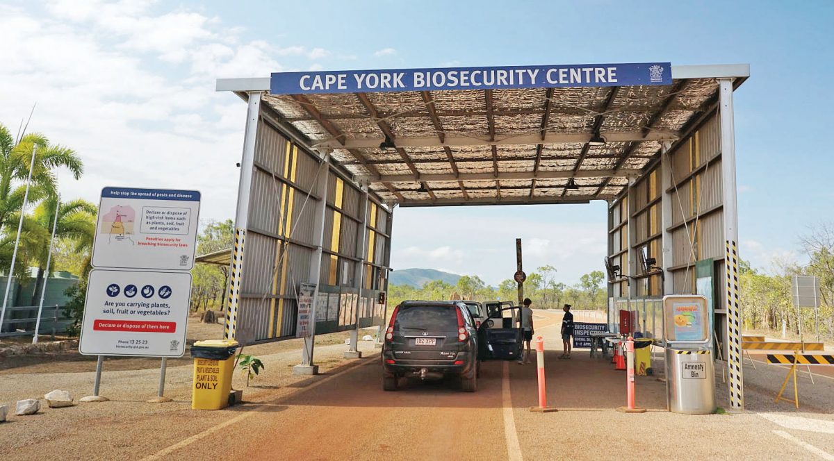 The location of the Cape York Biosecurity Centre was strategically picked for its geographical advantages.