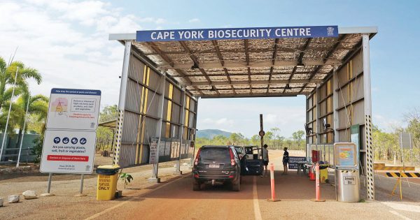 Opposition says cuts to biosecurity in Cape will backfire