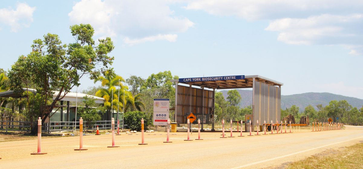 The Cape York Biosecurity Centre near Coen is being shut on June 30.
