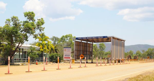 Cape York Biosecurity Centre to officially close on June 30, drawing criticism from expert