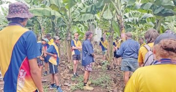 Students given a taste of farming