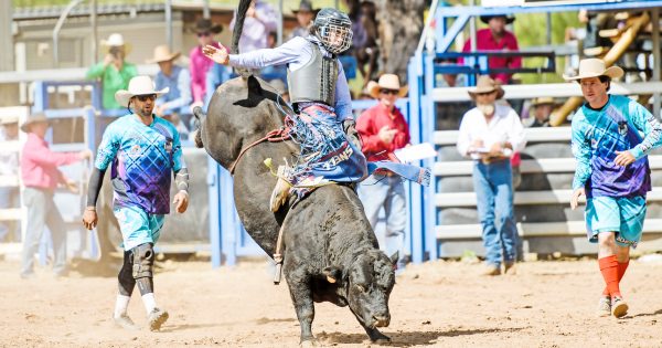 First trip to Laura pays dividends for Burdekin cowboy