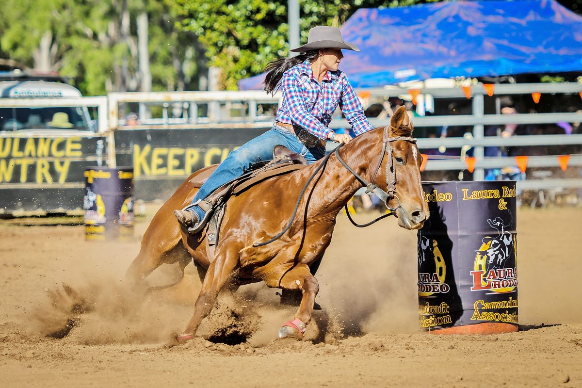 Markayla Shephard won the Maiden Campdraft and finished second in the Ladies Barrel Race.