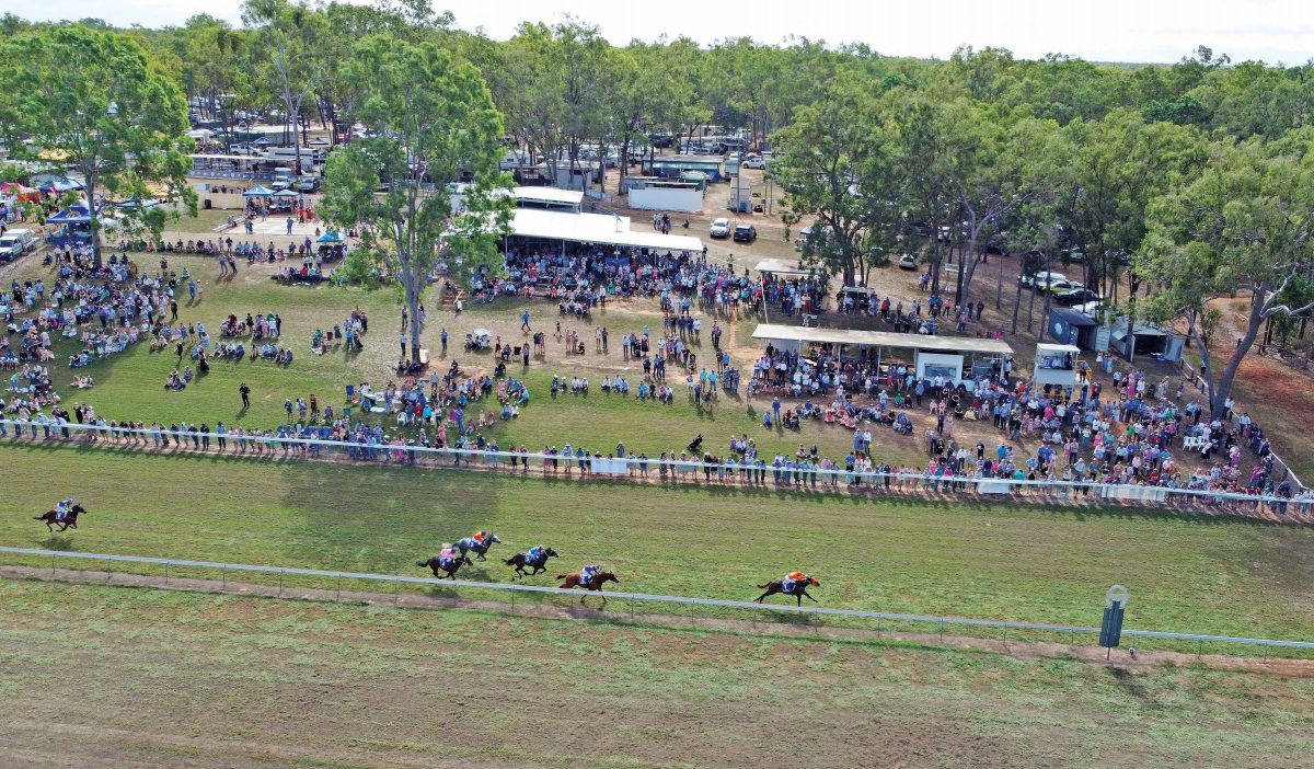 A massive crowd will flock to the Laura Amateur Turf Club on Saturday.