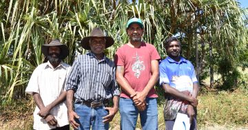 Council and Traditional Owners working to manage Juunjuwarra land