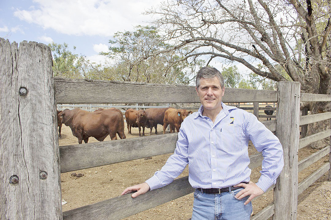 AgForce CEO Michael Guerin has slammed the decision to close to Cape York Biosecurity Centre.