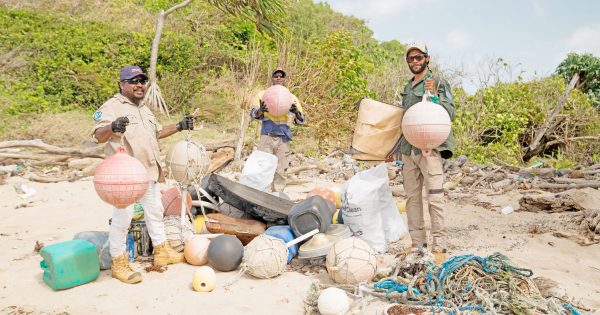 Remote Cape York beach given a much-needed makeover