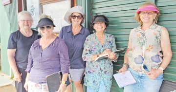 Travelling artists stop in Cooktown to admire our historic township