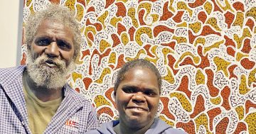 Cape artists on display at Cairns Indigenous Art Fair opening