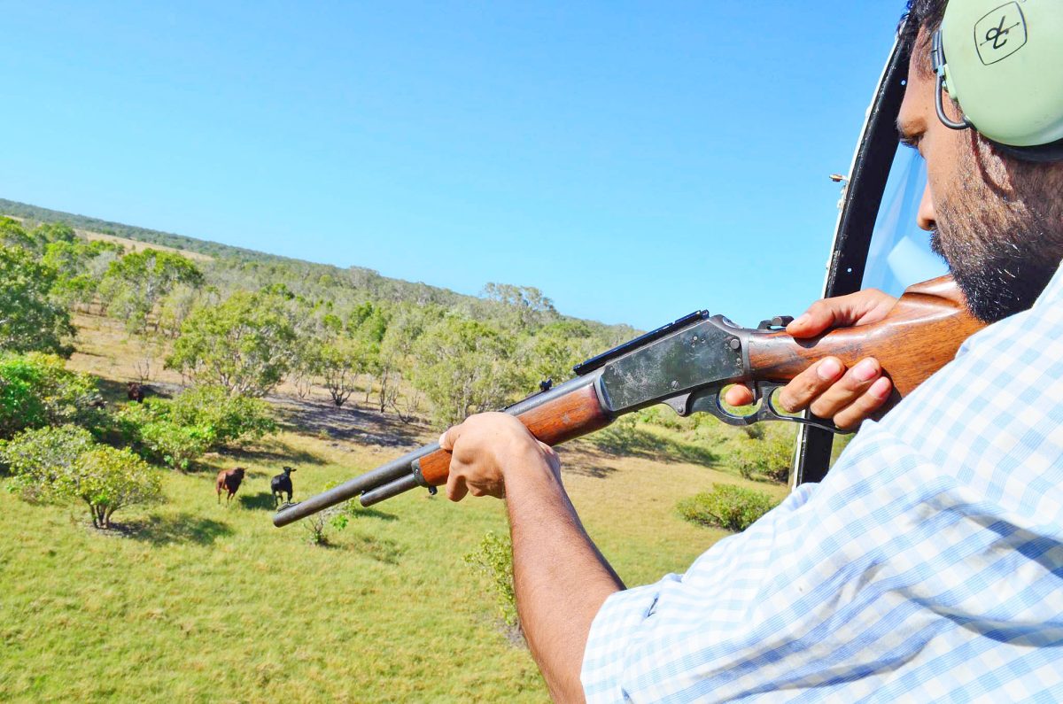 Bruce looking after his country by shooting feral pigs from a helicopter.