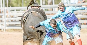 Rodeo love enough to keep top protection athlete in the game