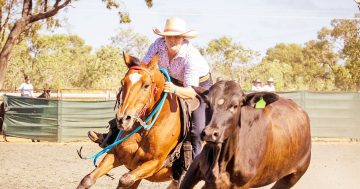 Barrel racers ready for new addition to Weipa Rodeo lineup