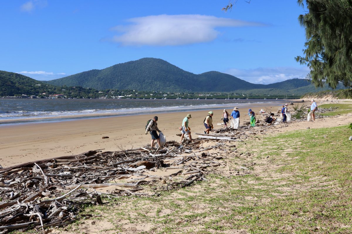 Several volunteers of the North Shore beach clean up are lined up across the beach with bags in hand, picking up rubbish.