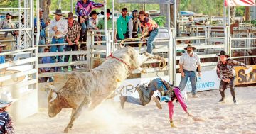 New events added to Weipa Rodeo program as excitement builds for 2023 event