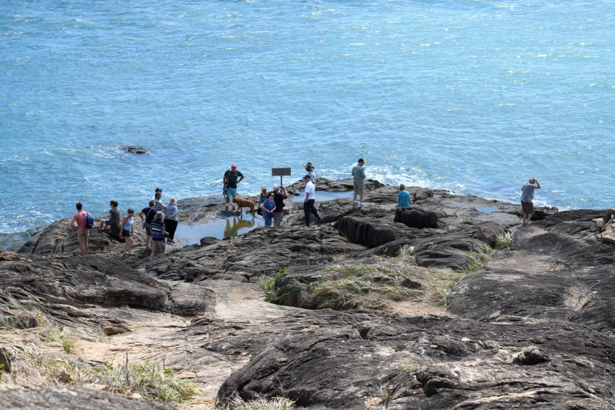 A group of Daintree Air customers are pictured standing at the Tip looking out towards the ocean.