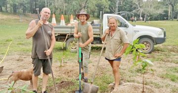 Locals dig Rossville community garden