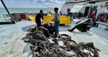 Tangaroa Blue project retrieves its first destructive fishing gear near Weipa