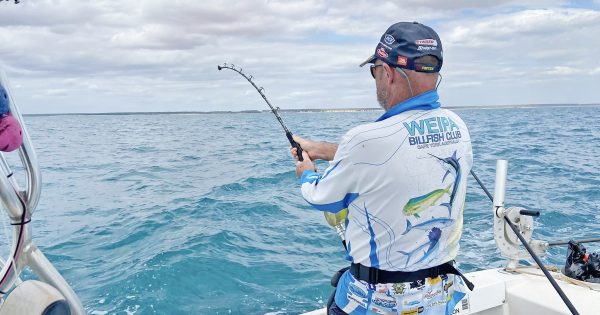 Weipa Billfish Club recognises achievements ahead of major tournament