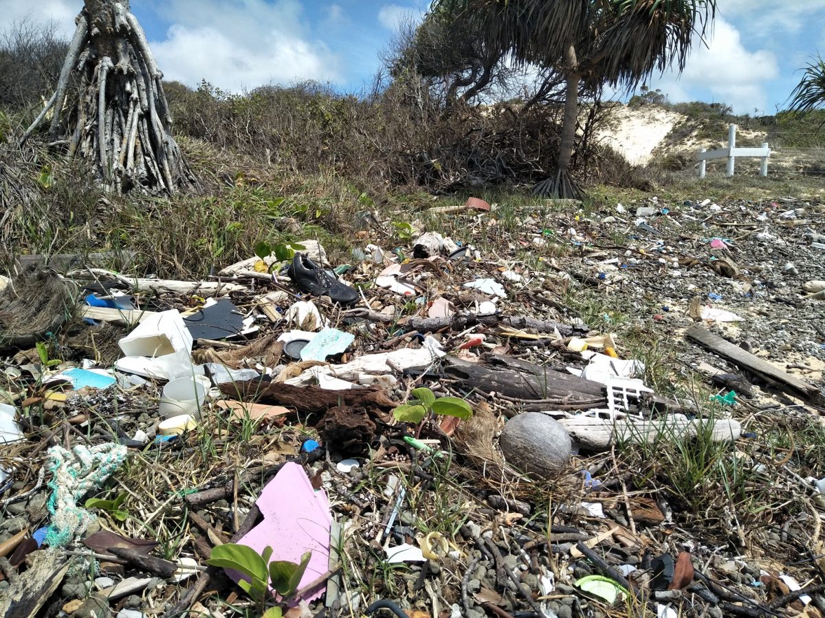 Photo shows a beachfront littered with marine debris.