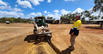 Gully remediation provides practical training opportunities